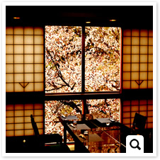 夜桜が楽しめる個室